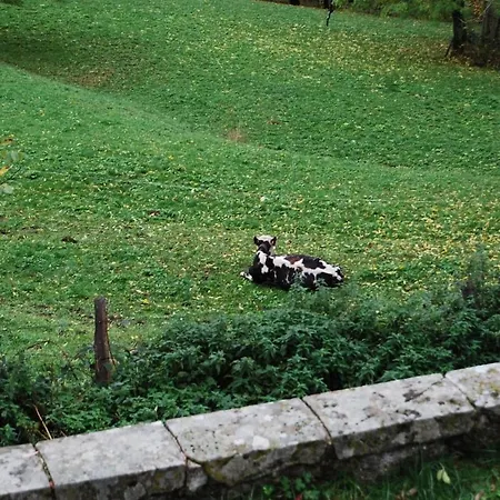 La Ferme Du Liaumiers