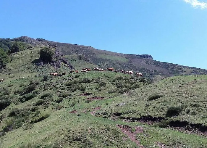 La Ferme Du Liaumiers Willa Saint-Cirgues-de-Jordanne